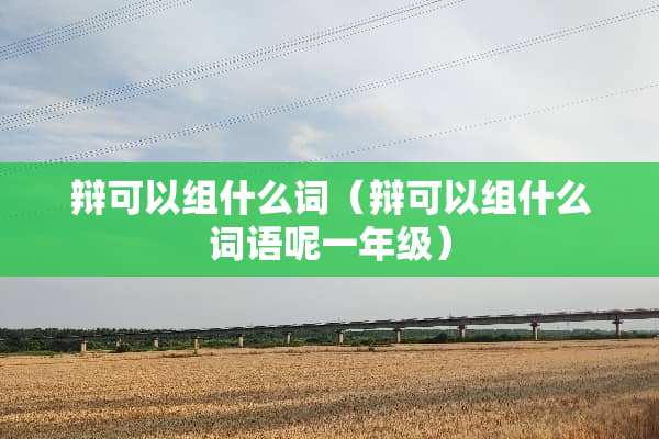 辩可以组什么词（辩可以组什么词语呢一年级）