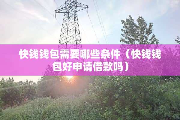 快钱钱包需要哪些条件（快钱钱包好申请借款吗）