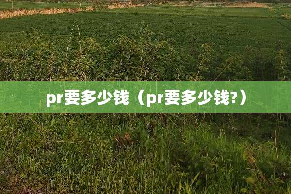 pr要多少钱（pr要多少钱?）