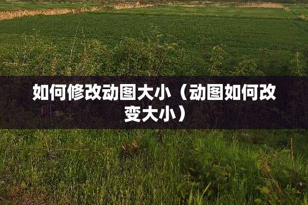 如何修改动图大小（动图如何改变大小）