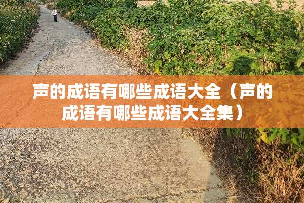 声的成语有哪些成语大全（声的成语有哪些成语大全集）