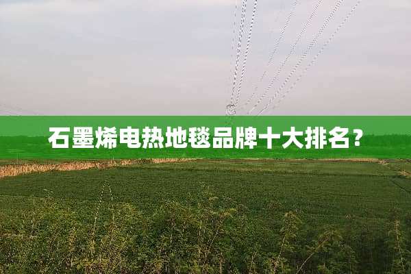 石墨烯电热地毯品牌十大排名？