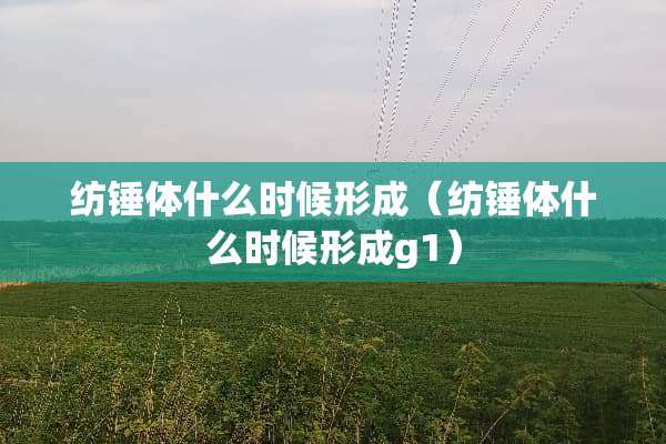 纺锤体什么时候形成（纺锤体什么时候形成g1）