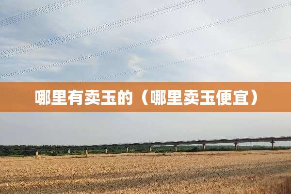 哪里有卖玉的（哪里卖玉便宜）