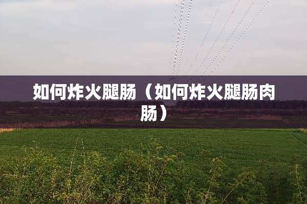 如何炸火腿肠（如何炸火腿肠肉肠）