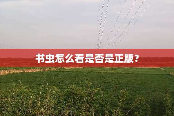 书虫怎么看是否是正版？