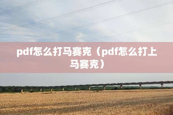 pdf怎么打马赛克（pdf怎么打上马赛克）