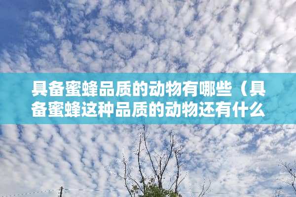 具备蜜蜂品质的动物有哪些（具备蜜蜂这种品质的动物还有什么）