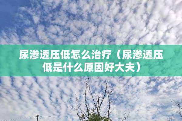 尿渗透压低怎么治疗（尿渗透压低是什么原因好大夫）