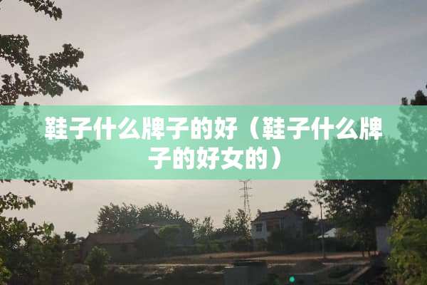 鞋子什么牌子的好（鞋子什么牌子的好女的）