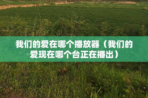 我们的爱在哪个播放器（我们的爱现在哪个台正在播出）