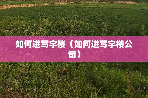 如何进写字楼（如何进写字楼公司）