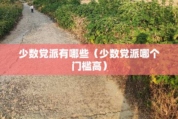 少数*派有哪些（少数*派哪个门槛高）