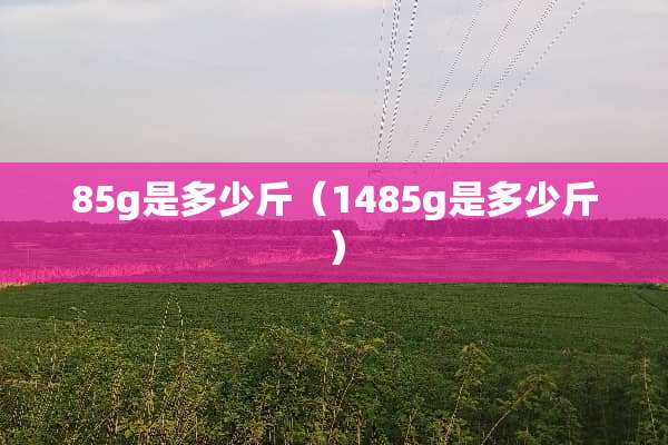85g是多少斤（1485g是多少斤）