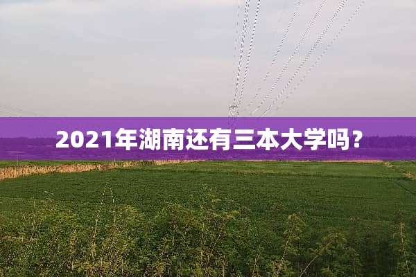 2021年湖南还有三本大学吗？