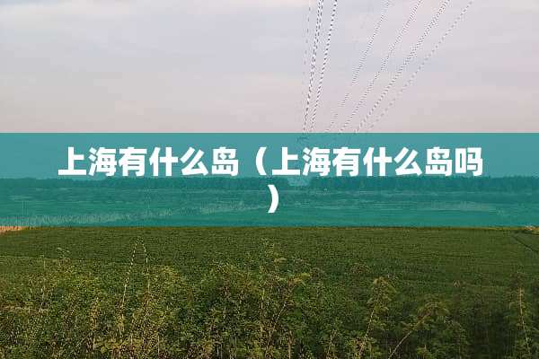 上海有什么岛（上海有什么岛吗）