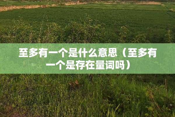 至多有一个是什么意思（至多有一个是存在量词吗）