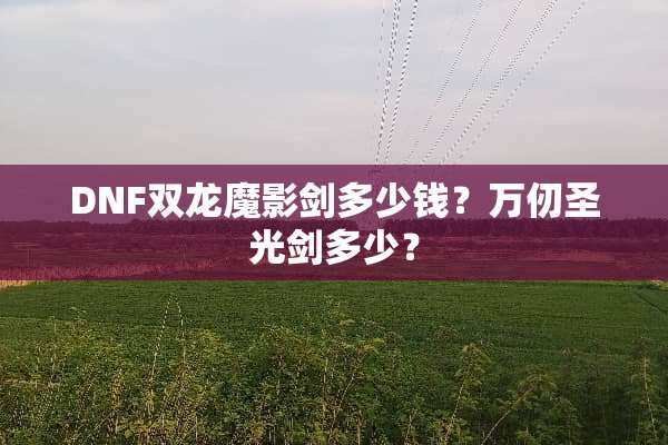 DNF双龙魔影剑多少钱？万仞圣光剑多少？