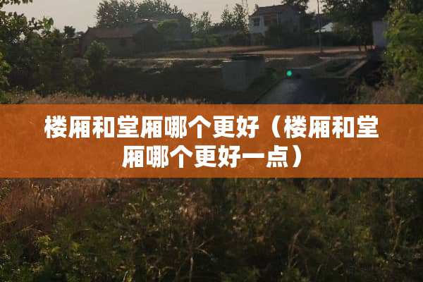 楼厢和堂厢哪个更好（楼厢和堂厢哪个更好一点）