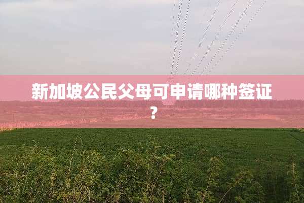 新加坡公民父母可申请哪种签证？