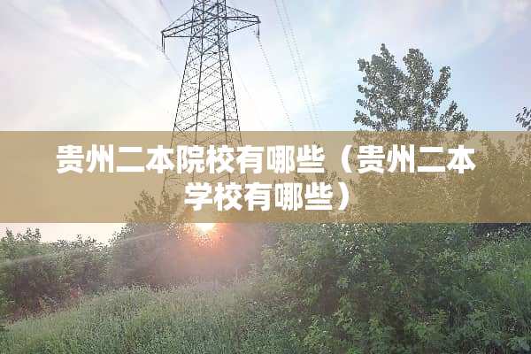 贵州二本院校有哪些（贵州二本学校有哪些）