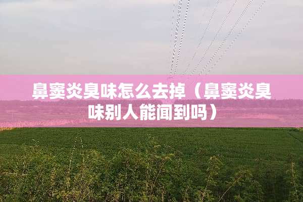 鼻窦炎臭味怎么去掉（鼻窦炎臭味别人能闻到吗）