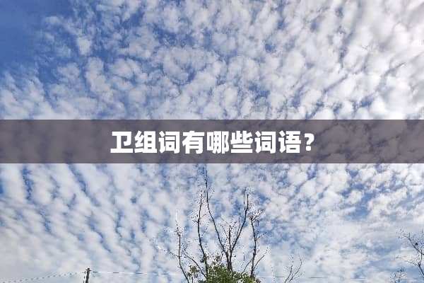 卫组词有哪些词语？