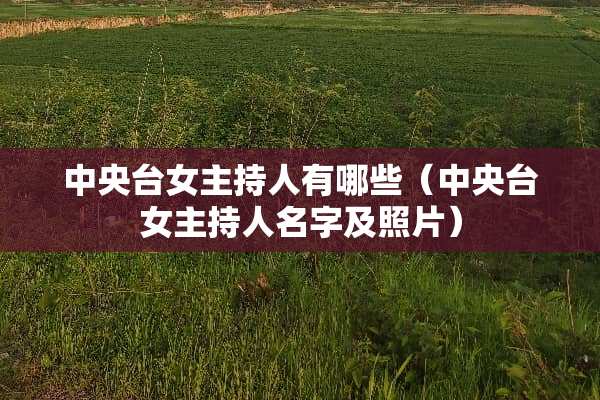 **台女主持人有哪些（**台女主持人名字及照片）