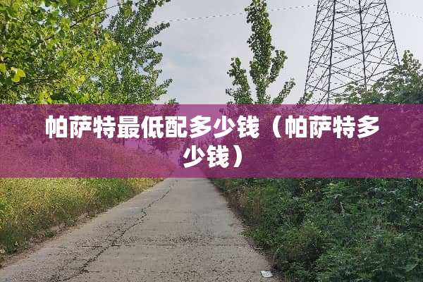 ***最低配多少钱（***多少钱）