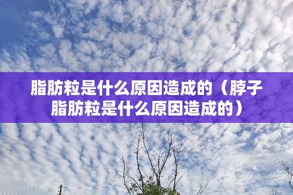 脂肪粒是什么原因造成的（脖子脂肪粒是什么原因造成的）