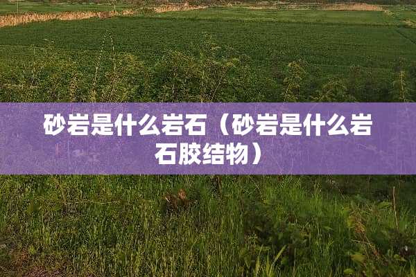 砂岩是什么**（砂岩是什么**胶结物）