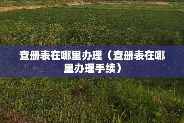 查册表在哪里办理（查册表在哪里办理手续）