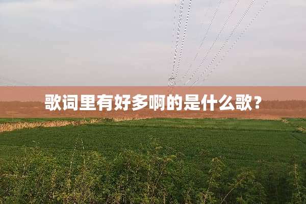 歌词里有好多啊的是什么歌？