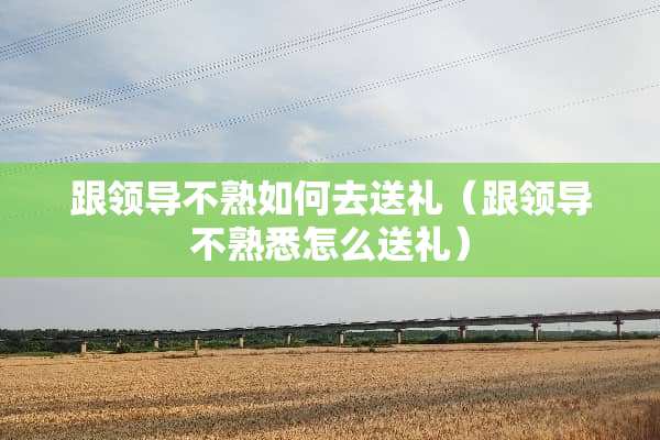 跟领导不熟如何去送礼（跟领导不熟悉怎么送礼）
