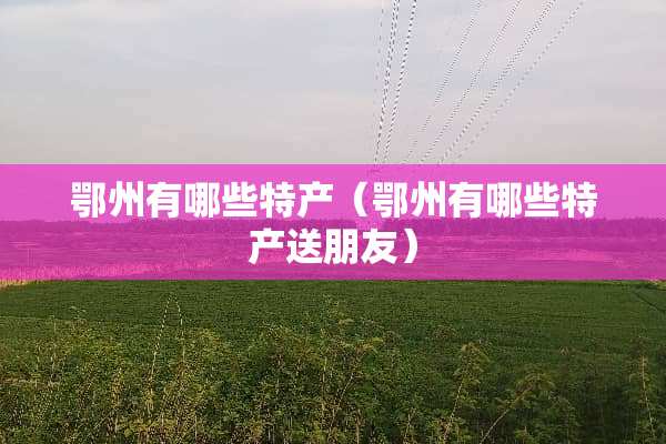鄂州有哪些特产（鄂州有哪些特产送朋友）