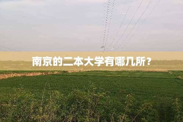 南京的二本大学有哪几所？