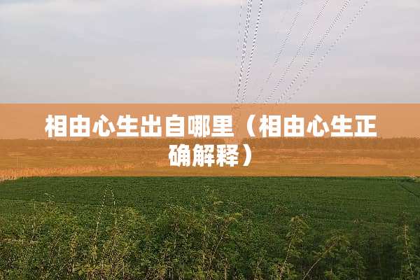 相由心生出自哪里（相由心生正确解释）
