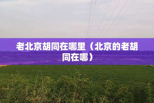 老北京胡同在哪里（北京的老胡同在哪）