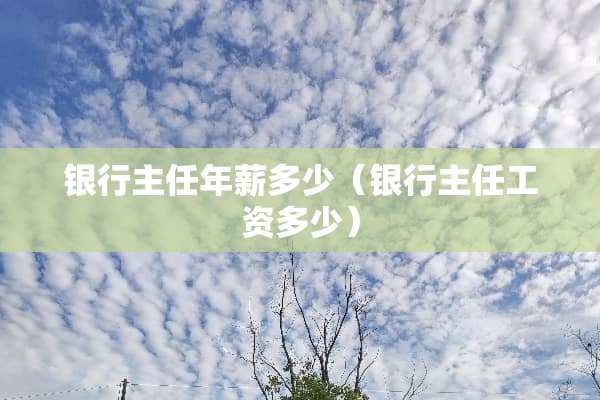 银行主任年薪多少（银行主任工资多少）