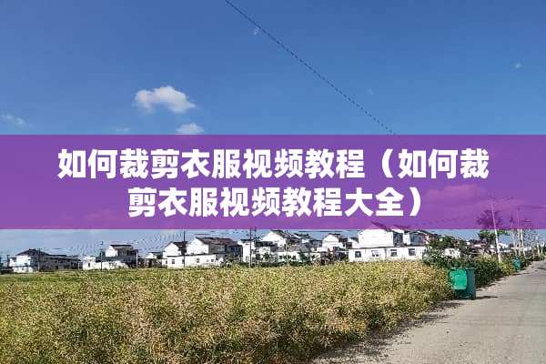 如何裁剪衣服视频教程（如何裁剪衣服视频教程大全）