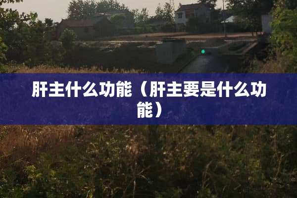 肝主什么功能（肝主要是什么功能）