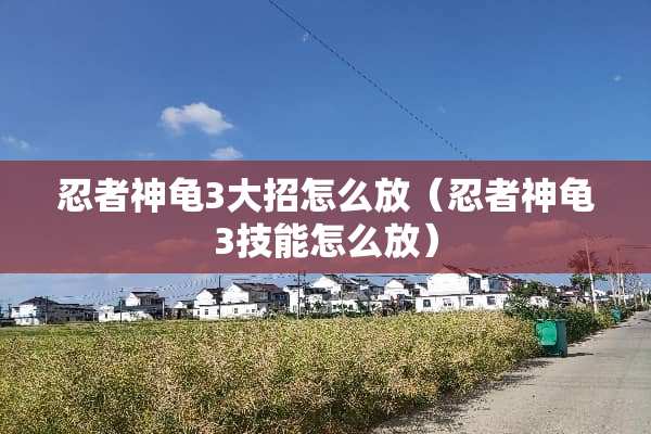 忍者神龟3大招怎么放（忍者神龟3技能怎么放）