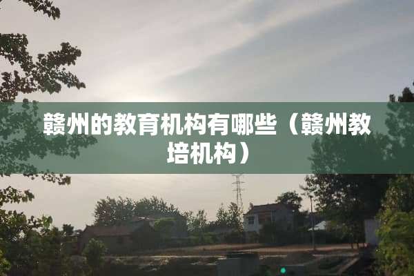 赣州的教育机构有哪些（赣州教培机构）