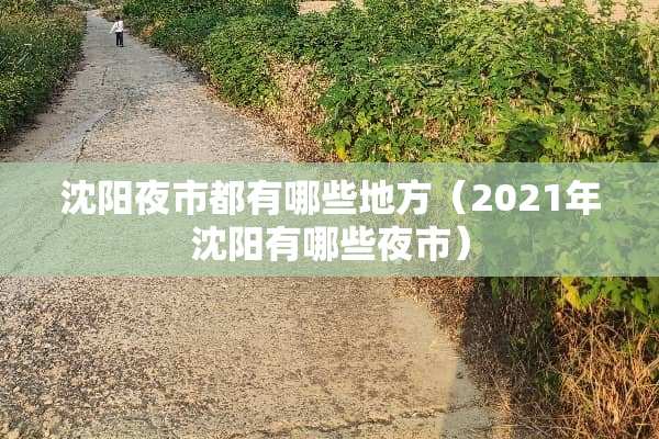 沈阳夜市都有哪些地方（2021年沈阳有哪些夜市）