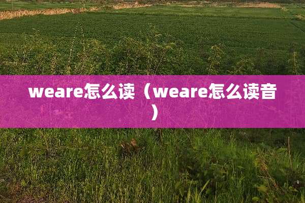 weare怎么读（weare怎么读音）