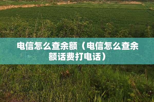 电信怎么查余额（电信怎么查余额话费打电话）