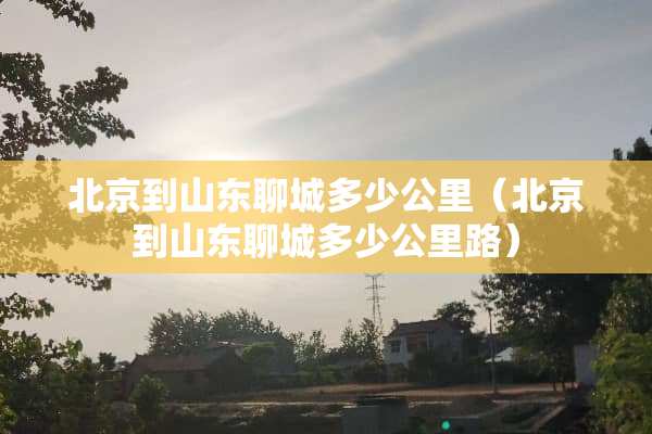 北京到山东聊城多少公里（北京到山东聊城多少公里路）