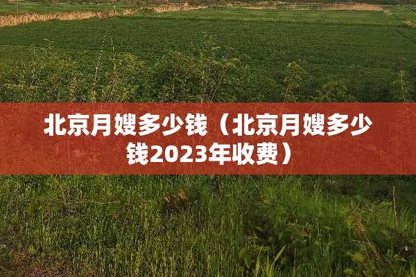 北京月嫂多少钱（北京月嫂多少钱2023年收费）