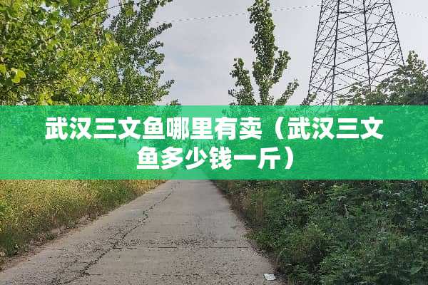 武汉三文鱼哪里有卖（武汉三文鱼多少钱一斤）