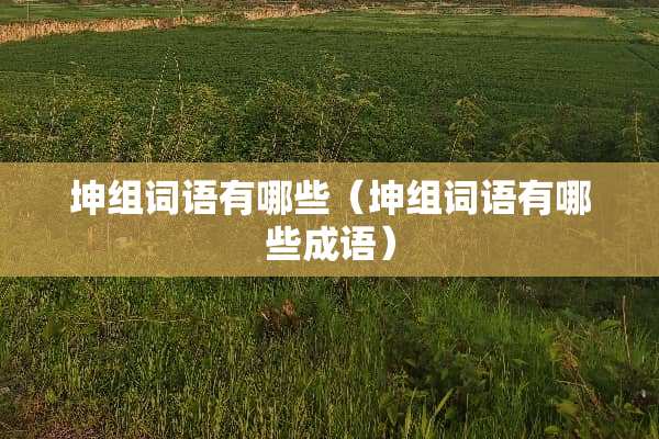 坤组词语有哪些（坤组词语有哪些成语）